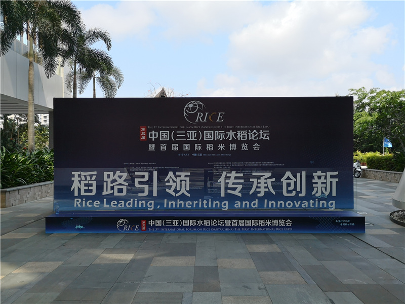 水稻论坛会