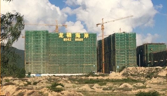 龙西海岸楼梯网格布