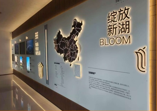 新湖地产背景墙